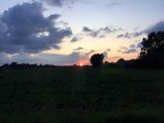Uitmuntende luchtballonvaart vanaf startlocatie Arnhem op dinsdag 13 augustus 2019