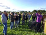 Heerlijke luchtballonvaart regio Horst op donderdag 19 september 2019