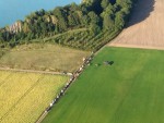 Spectaculaire ballon vlucht over de regio Horst op donderdag 19 september 2019